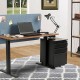 Manual 120 CM Standing Desk Wood-look Desktop